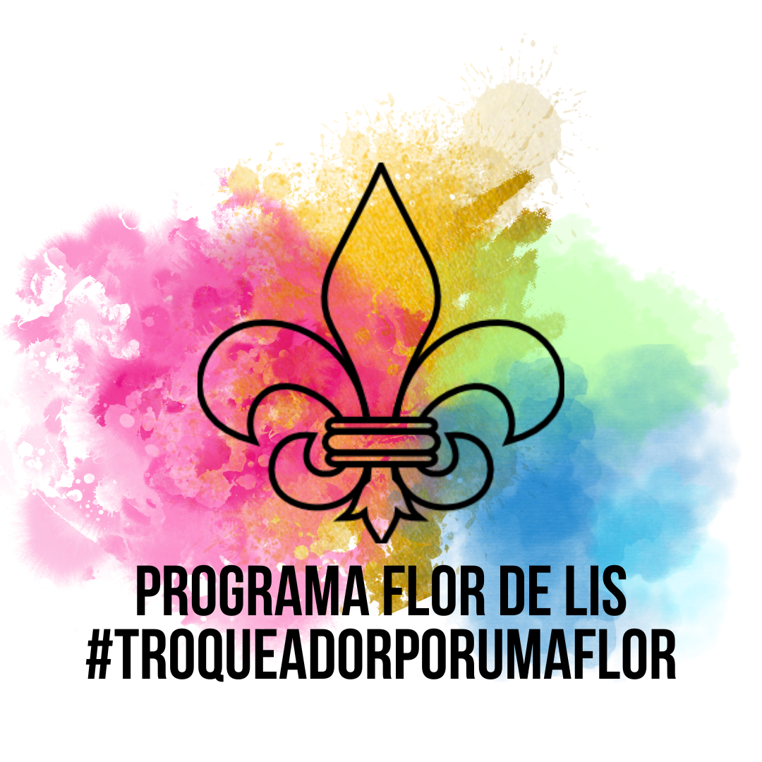 Programa Flor de Lis
